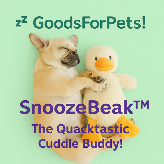 SnoozeBeak 2.0